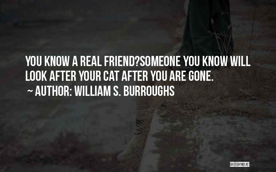 Cat Friendship Quotes By William S. Burroughs