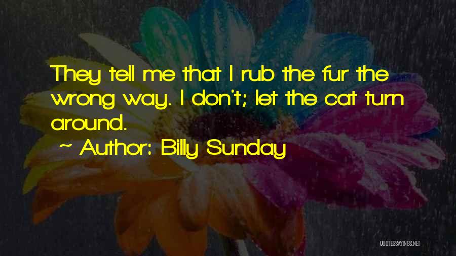 Cat Fur Quotes By Billy Sunday