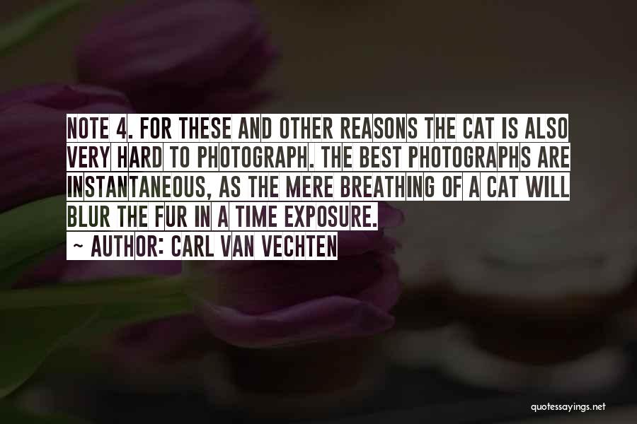 Cat Fur Quotes By Carl Van Vechten