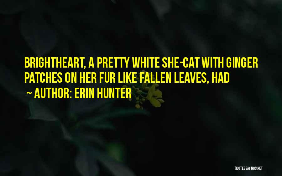 Cat Fur Quotes By Erin Hunter