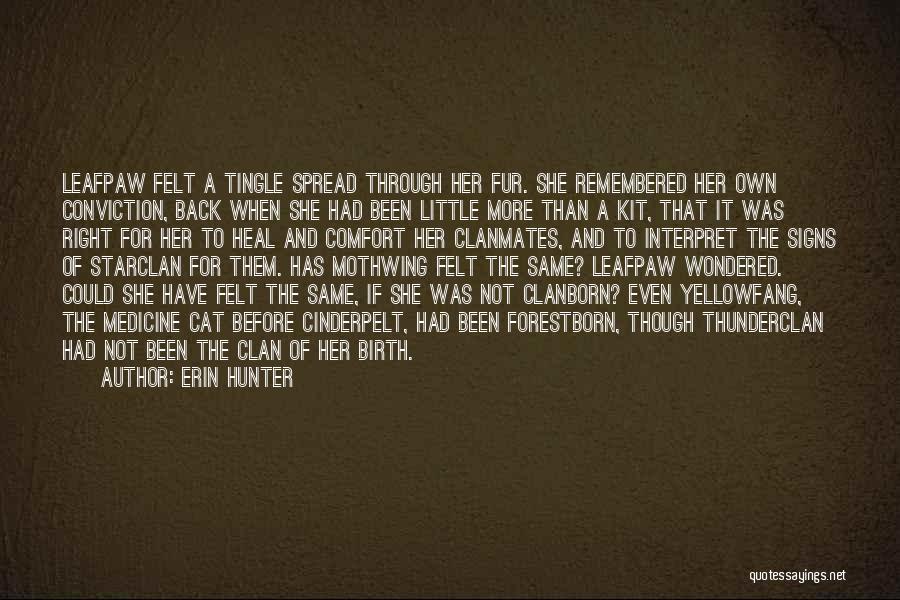Cat Fur Quotes By Erin Hunter