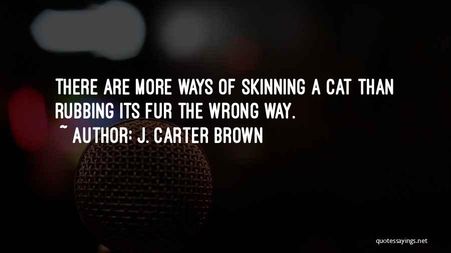 Cat Fur Quotes By J. Carter Brown