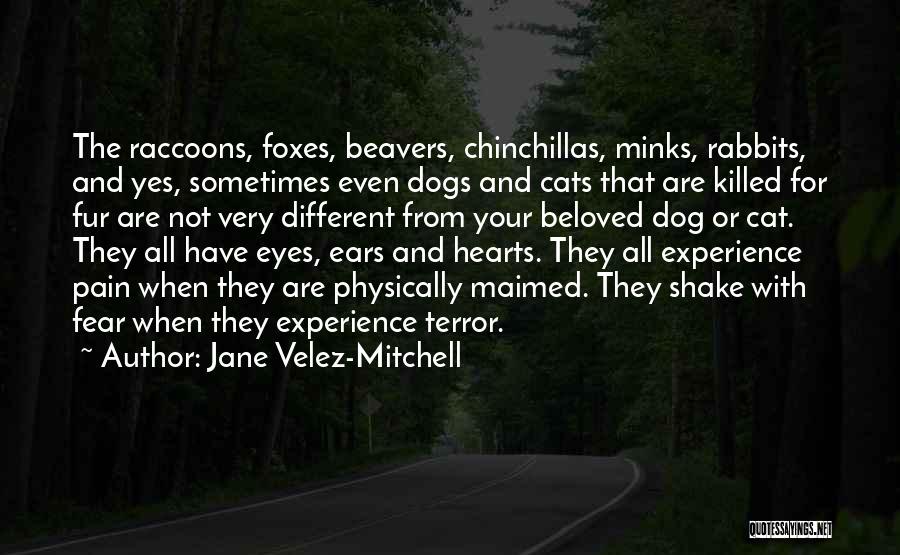 Cat Fur Quotes By Jane Velez-Mitchell