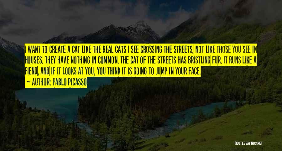 Cat Fur Quotes By Pablo Picasso