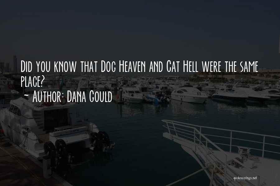 Cat Heaven Quotes By Dana Gould