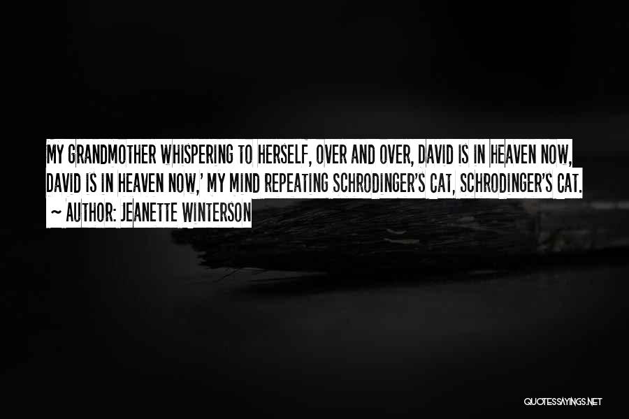 Cat Heaven Quotes By Jeanette Winterson