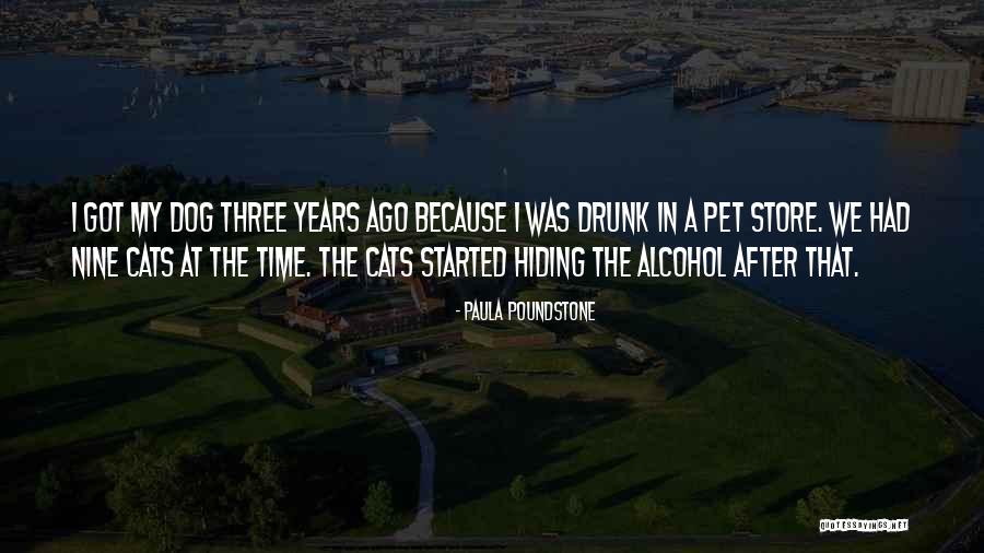 Cat Hiding Quotes By Paula Poundstone Cat Hiding Quotes By Paula Poundstone
