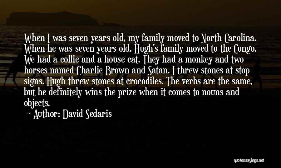 Cat House Quotes By David Sedaris