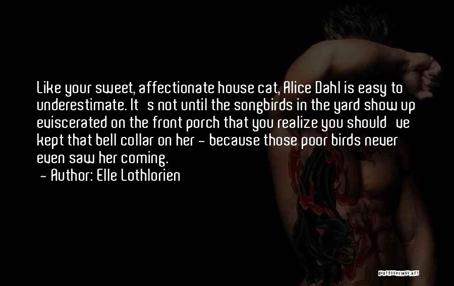 Cat House Quotes By Elle Lothlorien