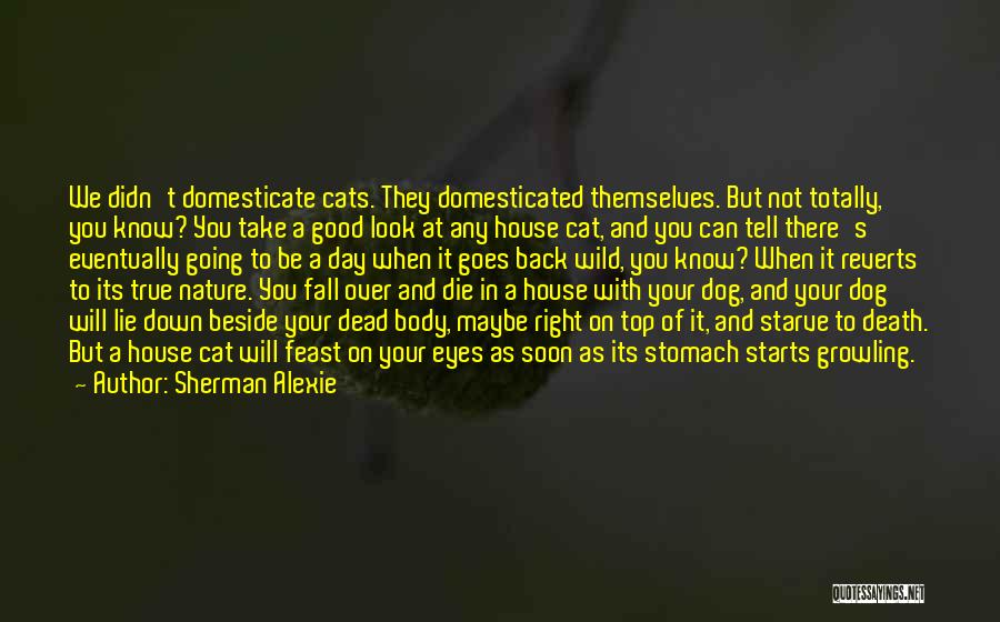 Cat House Quotes By Sherman Alexie