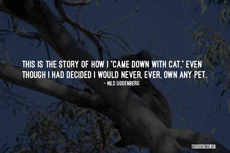 Cat Humor Quotes By Nils Uddenberg Cat Humor Quotes By Nils Uddenberg