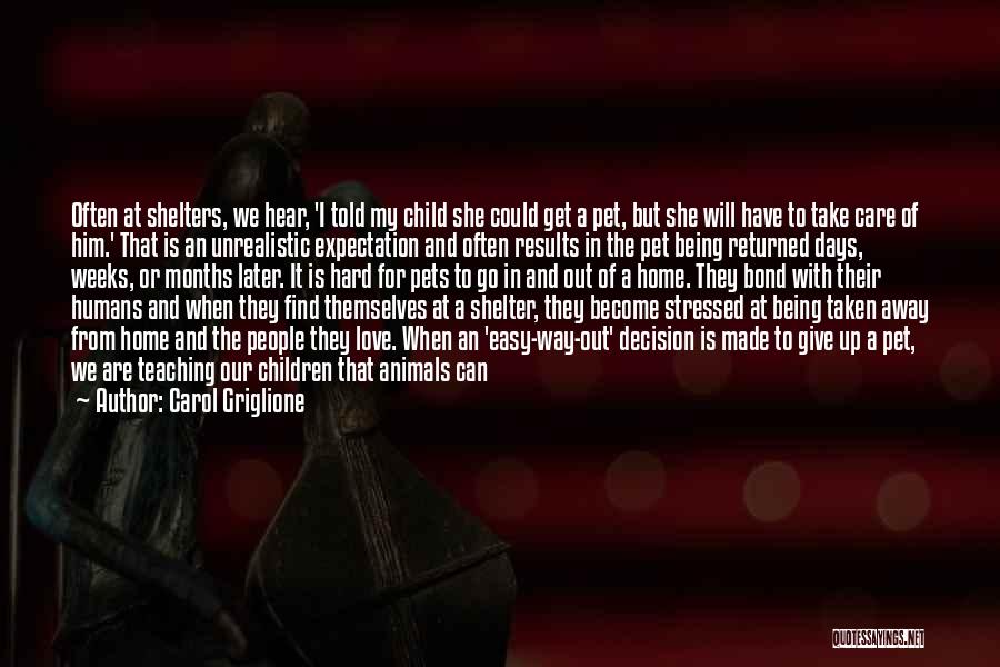 Cat In Hat Quotes By Carol Griglione