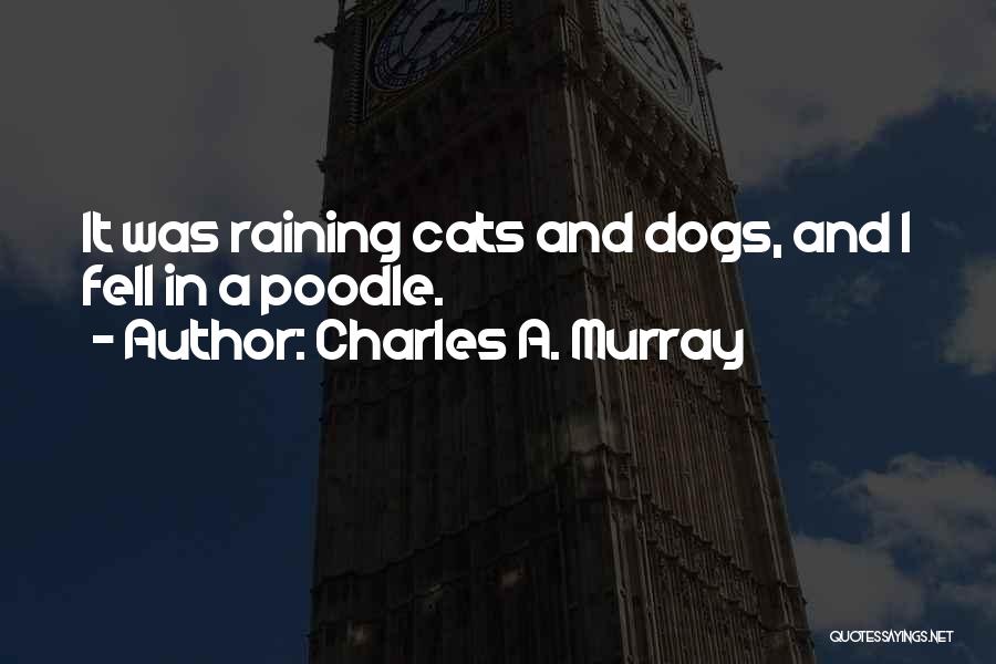 Cat In The Rain Quotes By Charles A. Murray