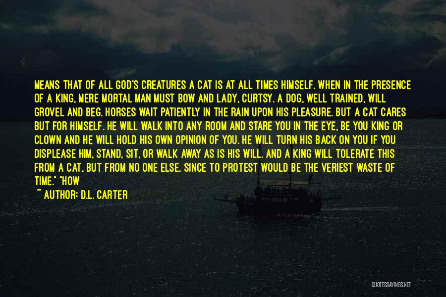 Cat In The Rain Quotes By D.L. Carter