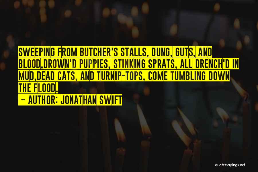 Cat In The Rain Quotes By Jonathan Swift