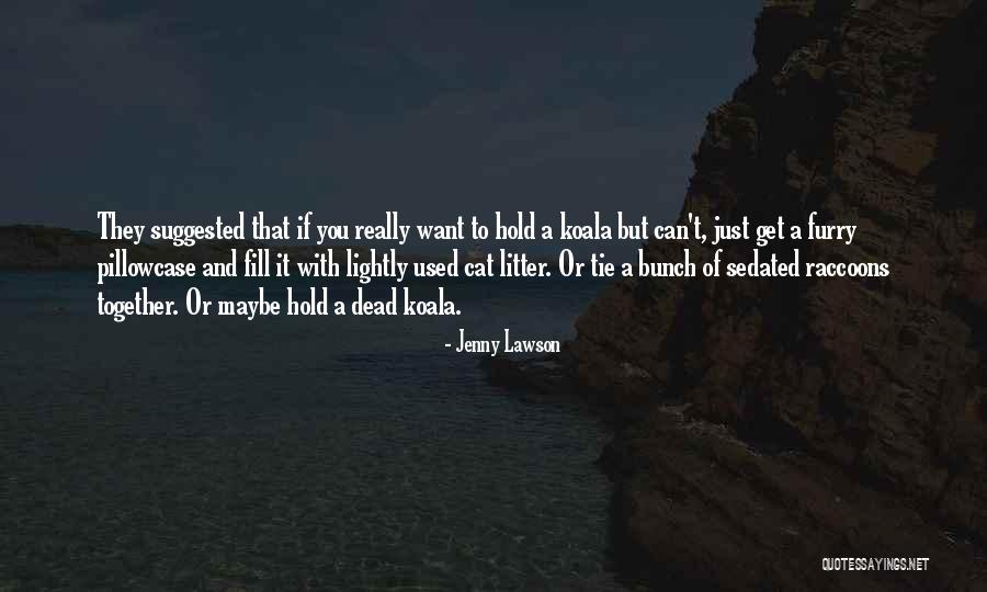 Cat Litter Quotes By Jenny Lawson Cat Litter Quotes By Jenny Lawson