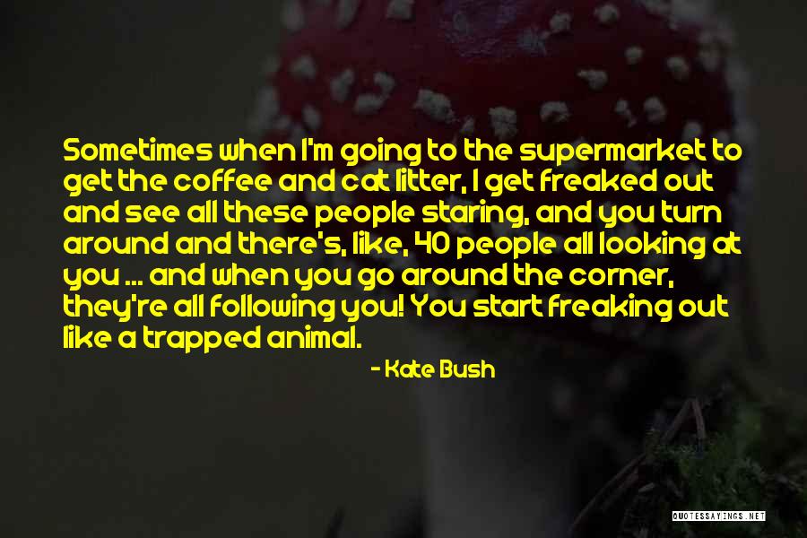 Cat Litter Quotes By Kate Bush Cat Litter Quotes By Kate Bush