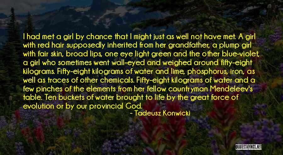 Cat Logo Tupperware Quotes By Tadeusz Konwicki Cat Logo Tupperware Quotes By Tadeusz Konwicki