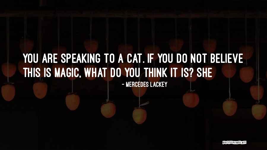 Cat Magic Quotes By Mercedes Lackey Cat Magic Quotes By Mercedes Lackey