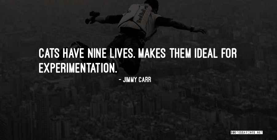 Cat Nine Lives Quotes By Jimmy Carr Cat Nine Lives Quotes By Jimmy Carr