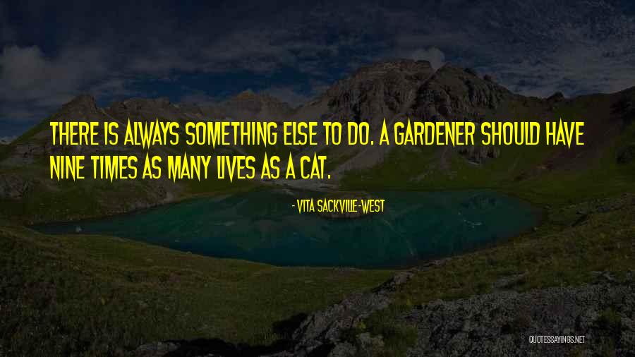 Cat Nine Lives Quotes By Vita Sackville-West