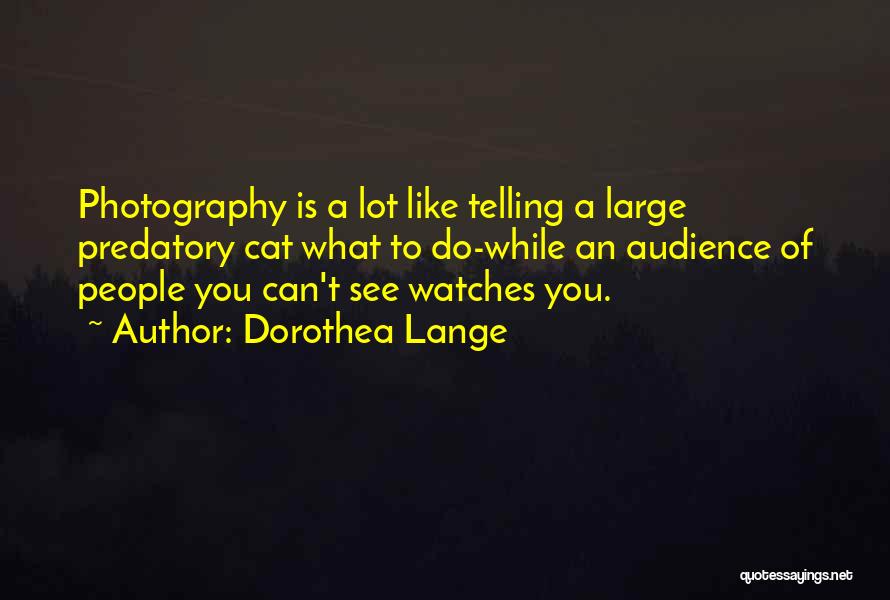 Cat People Quotes By Dorothea Lange