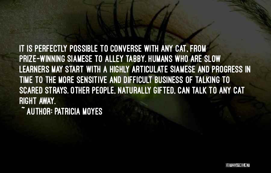 Cat People Quotes By Patricia Moyes