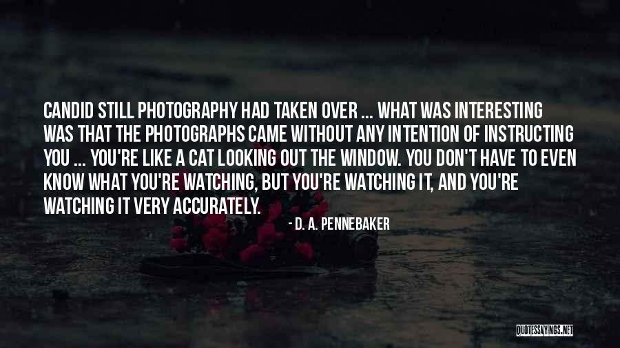 Cat Photography Quotes By D. A. Pennebaker