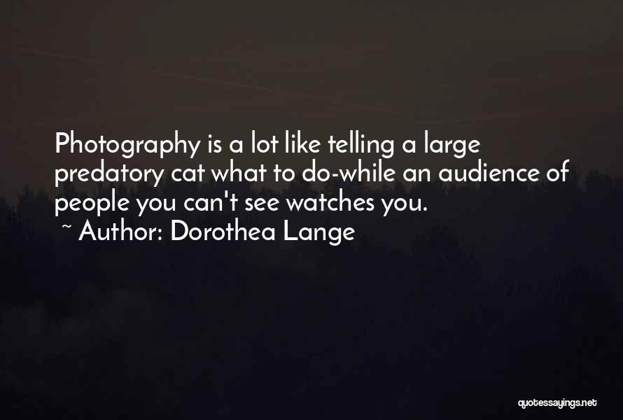 Cat Photography Quotes By Dorothea Lange