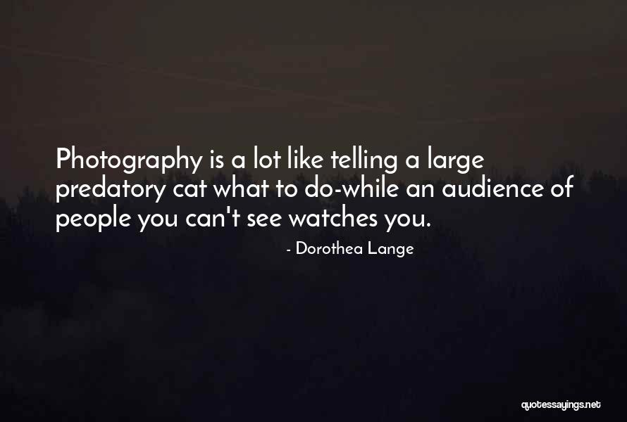 Cat Photography Quotes By Dorothea Lange