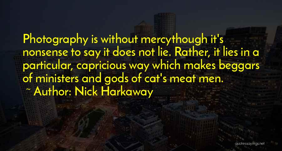 Cat Photography Quotes By Nick Harkaway