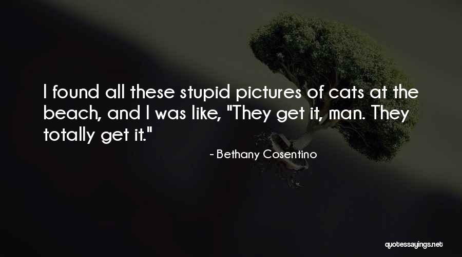 Cat Pictures Quotes By Bethany Cosentino Cat Pictures Quotes By Bethany Cosentino