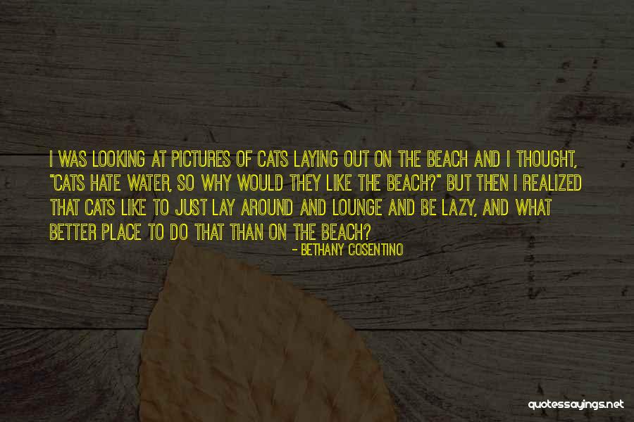 Cat Pictures Quotes By Bethany Cosentino Cat Pictures Quotes By Bethany Cosentino