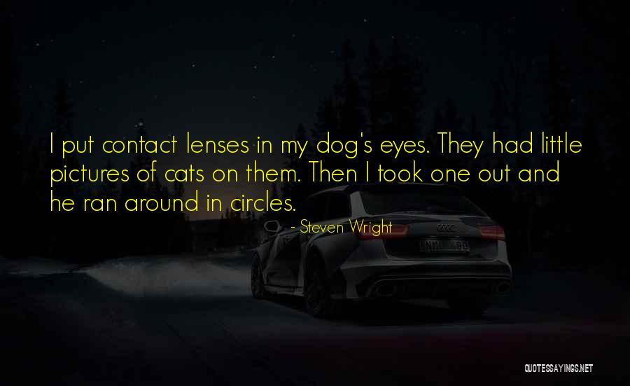 Cat Pictures Quotes By Steven Wright Cat Pictures Quotes By Steven Wright