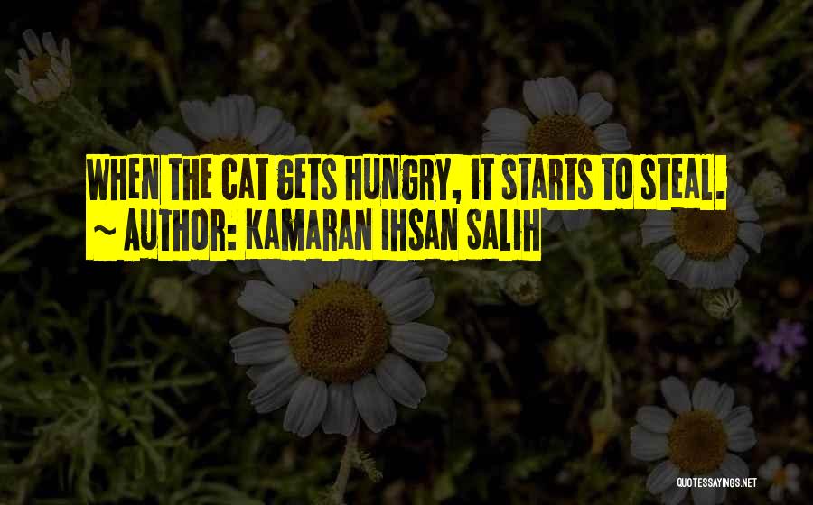 Cat Quotes By Kamaran Ihsan Salih