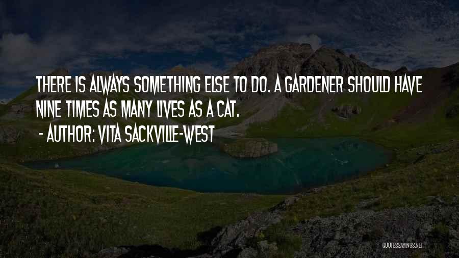 Cat Quotes By Vita Sackville-West