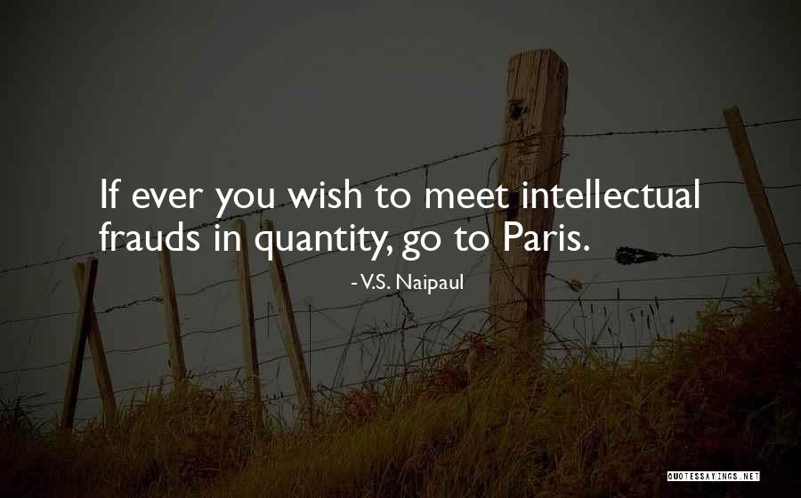 Cat Returns Haru Quotes By V.S. Naipaul Cat Returns Haru Quotes By V.S. Naipaul