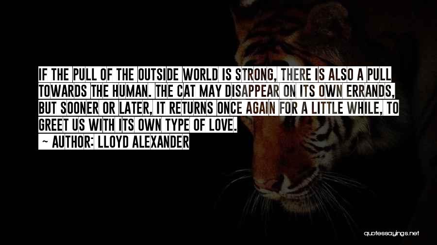 Cat Returns Quotes By Lloyd Alexander
