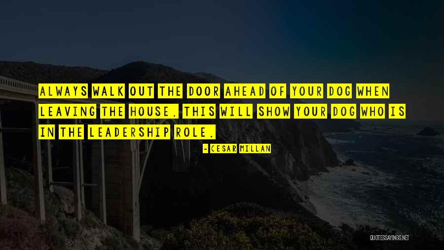 Cat S Craddle Quotes By Cesar Millan Cat S Craddle Quotes By Cesar Millan
