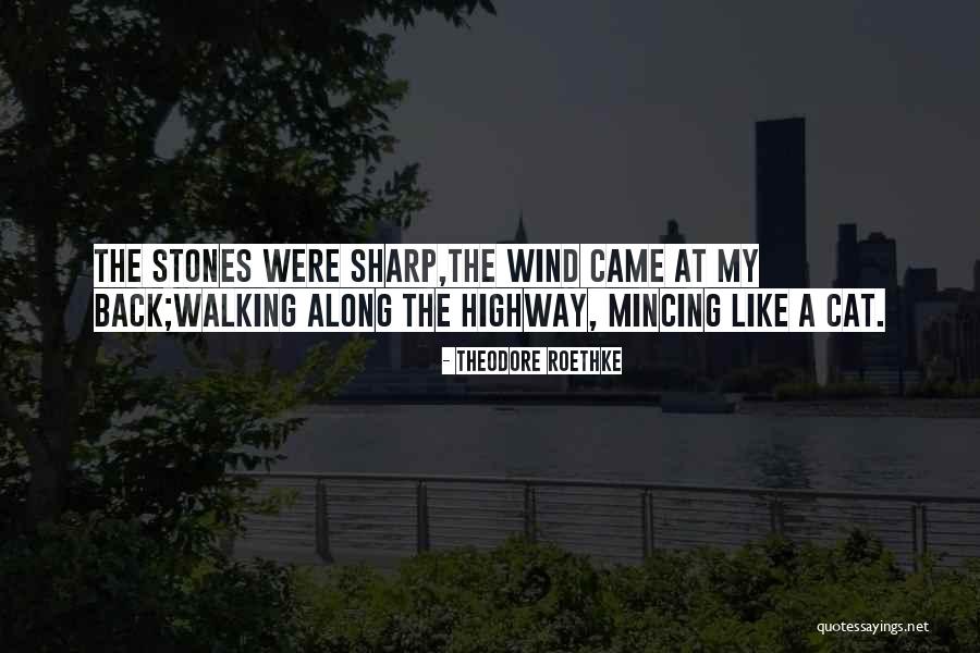 Cat Sharp Quotes By Theodore Roethke Cat Sharp Quotes By Theodore Roethke