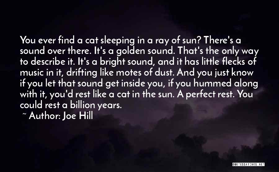 Cat Sleeping Quotes By Joe Hill