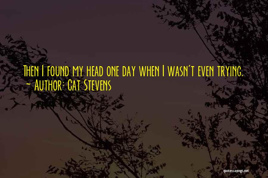 Cat Stevens Inspirational Quotes By Cat Stevens