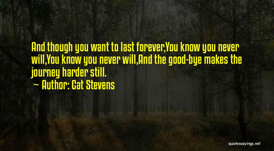 Cat Stevens Quotes 1058018