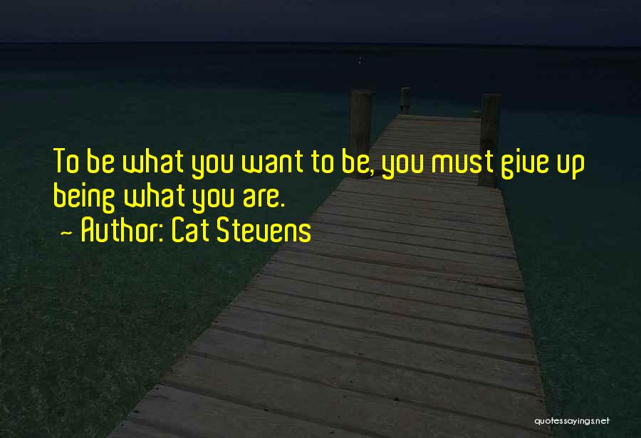 Cat Stevens Quotes 1066282