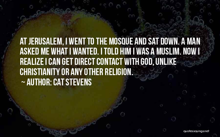 Cat Stevens Quotes 132087