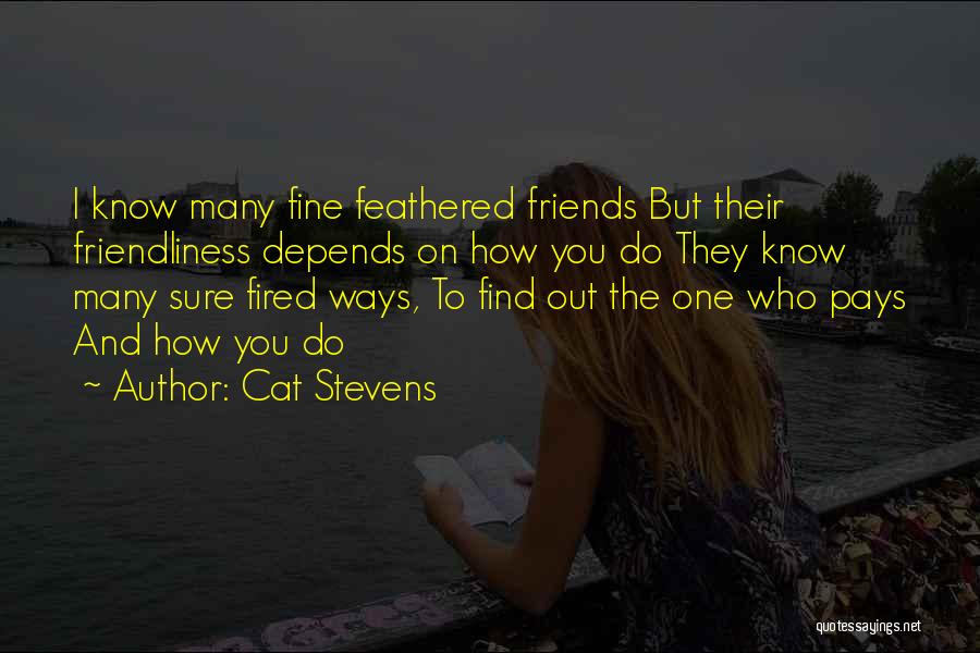 Cat Stevens Quotes 1742388