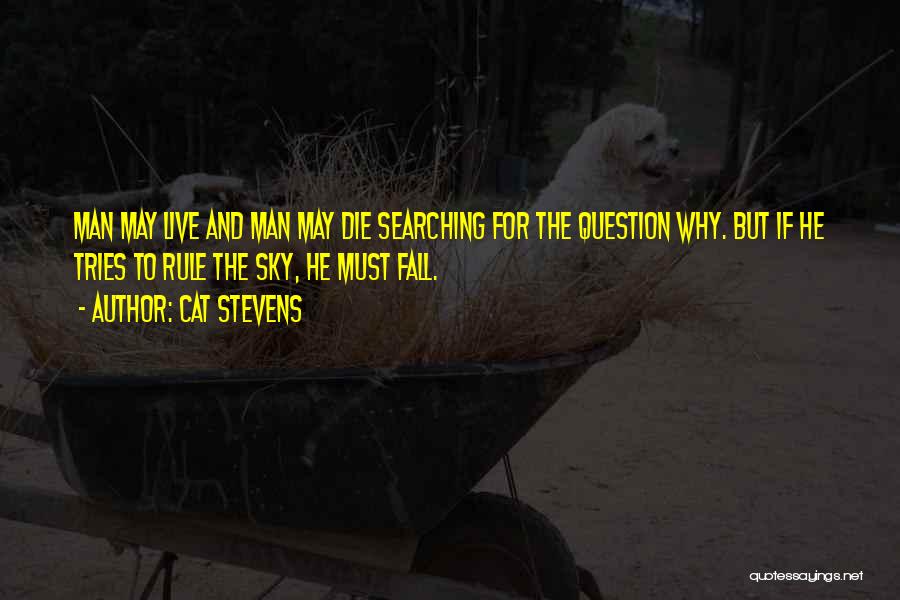 Cat Stevens Quotes 1837440