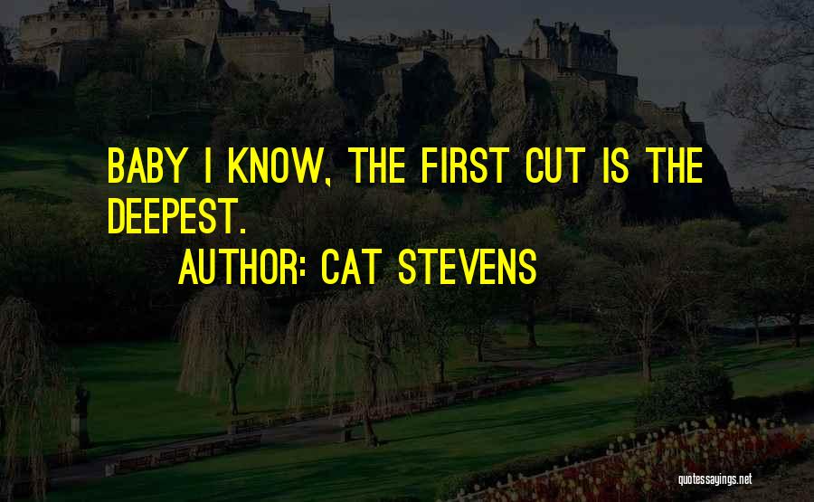 Cat Stevens Quotes 368556