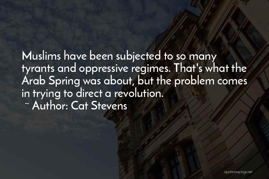 Cat Stevens Quotes 88875