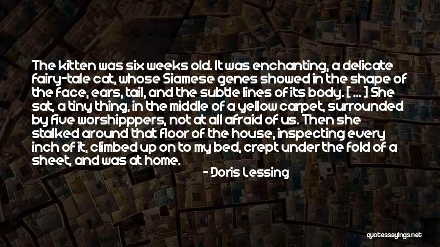 Cat Things For The House Quotes By Doris Lessing Cat Things For The House Quotes By Doris Lessing